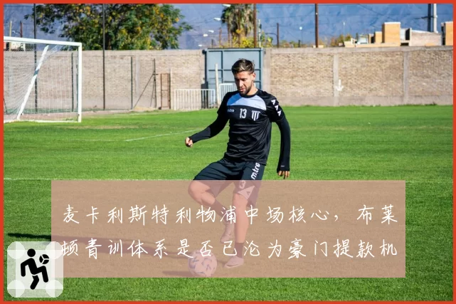 麦卡利斯特利物浦中场核心，布莱顿青训体系是否已沦为豪门提款机？